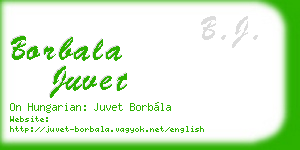 borbala juvet business card